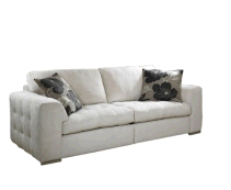 cocco2a2a1a2c2a1a1a1a1a1b1a1b1c1a