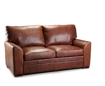 cocco2a2a1a2c2a1a1a1a1a1b1a3a2a