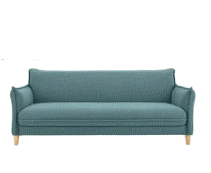 cocco2a2a1a2c2a1a1a2a1a1a1a1a1a2a1a1